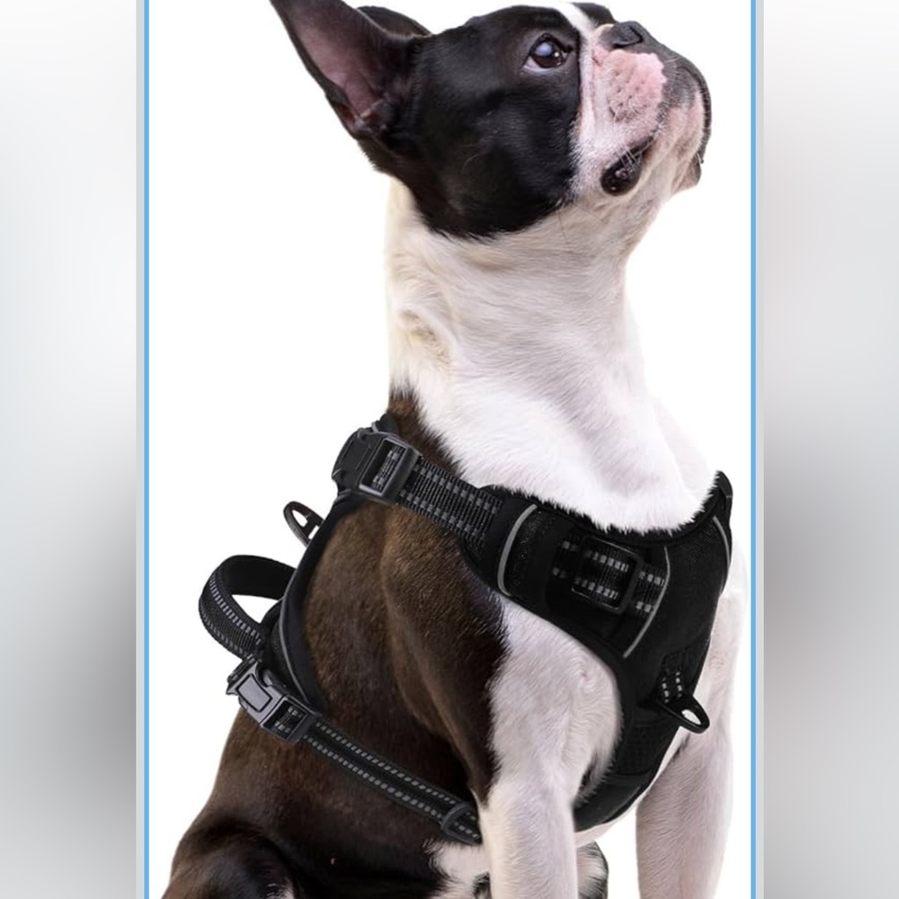 Adjustable Black Dog Harness